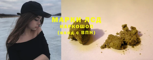 ГАЛЛЮЦИНОГЕННЫЕ ГРИБЫ Абаза