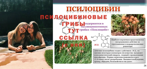 молекула духа Абинск