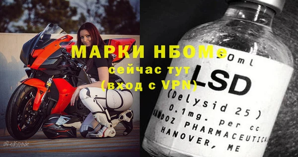 ГАЛЛЮЦИНОГЕННЫЕ ГРИБЫ Абаза