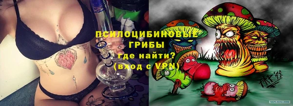 ГАЛЛЮЦИНОГЕННЫЕ ГРИБЫ Абаза