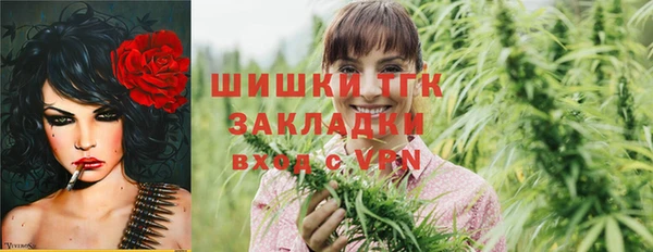 ГАЛЛЮЦИНОГЕННЫЕ ГРИБЫ Абаза