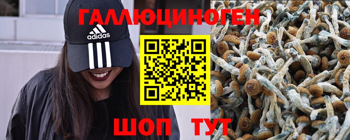 Галлюциногенные грибы прущие грибы Иркутск