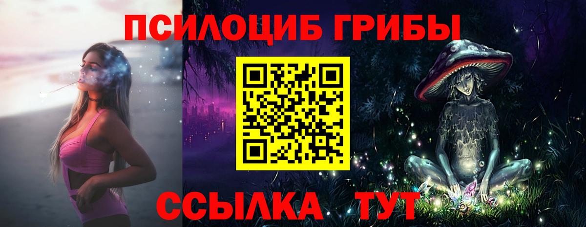 Иркутск  Галлюциногенные грибы мицелий  Галлюциногенные грибы GOLDEN TEACHER  наркотики  Вход с VPN 